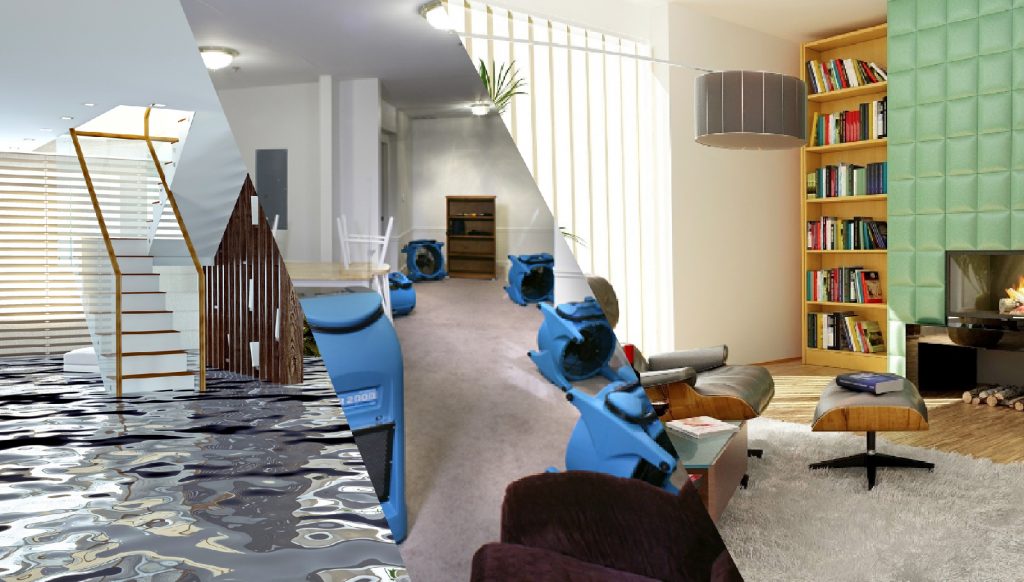 Water Damage Repair,