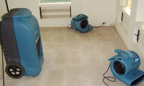 Drying Water Damage Thoroughly