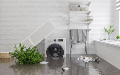 Water Damage Clean Up – Professional Services or DIY?